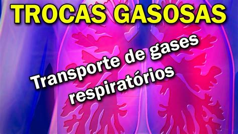 As Trocas Gasosas No Pulmao Humano Em Condicoes Normais Ocorrem