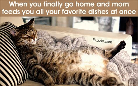750 x 1121 jpeg 77 кб. 50 Cute and Funny Cat Pictures With Captions - Cat Appy