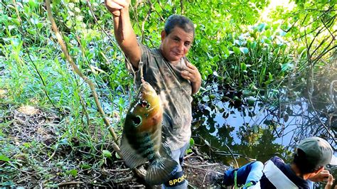 Pesca De Mojarras Con Anzuelo Youtube