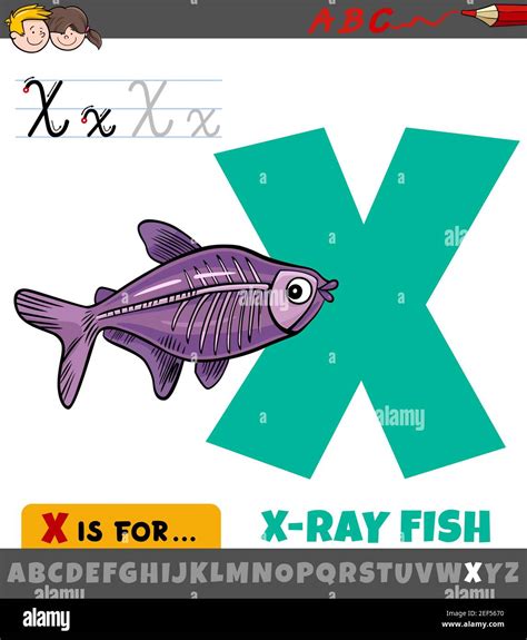 Educational Cartoon Illustration Of Letter X From Alphabet With X Ray