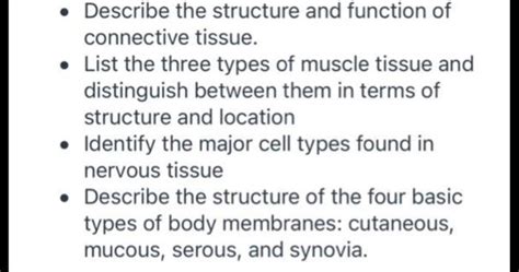 Describe The Function Of Connective Tissue