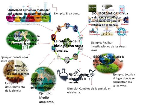 Biologia Mapa Mental Relacion De La Biologia Con Otras Ciencias Images
