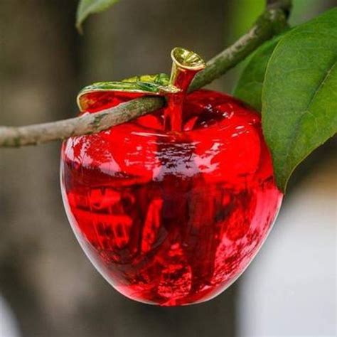 Forbidden Fruit From The Tree Of The Knowledge Of Good And Evil In The