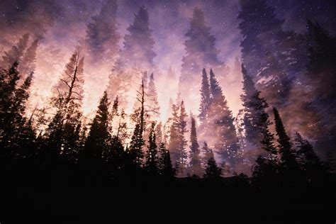 Utah Mountain Forest At Night Single 30 Sec Exposure Pics