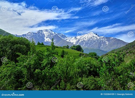 Beautiful View Of Alpine Meadows In The Caucasus Mountains Pastures