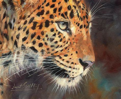 Leopard Painting By David Stribbling Fine Art America