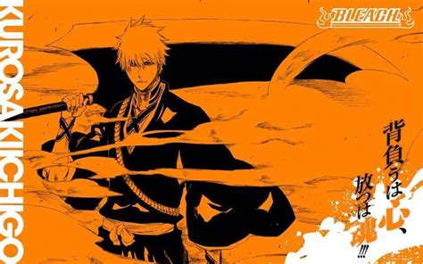 Bleach Manga Ends Soon In 74th Volume Аниме арт Аниме