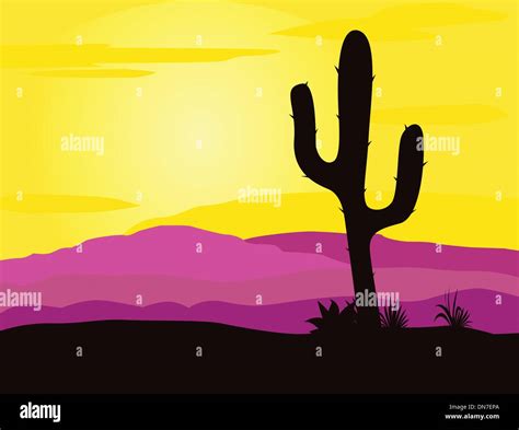 Mexico Desert Sunset With Cactus Plants Silhouette And Mountains Stock