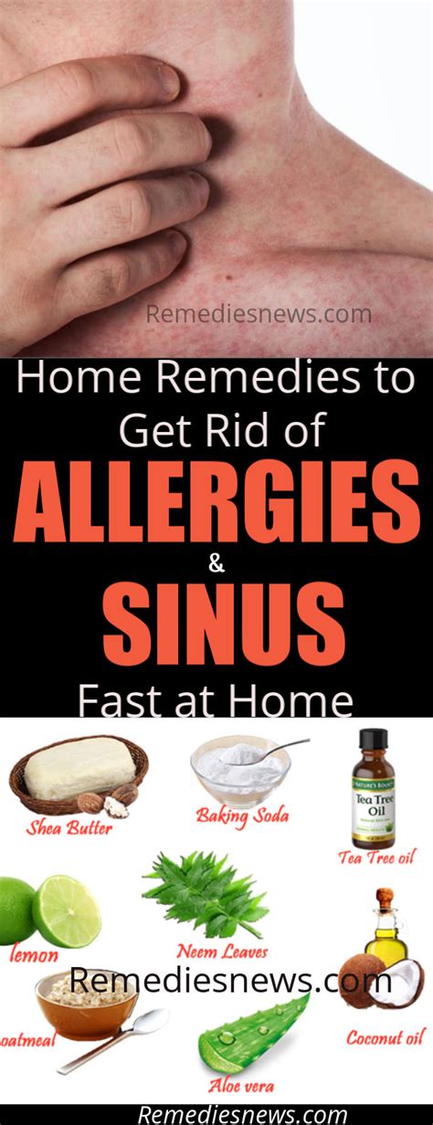 12 Home Remedies To Get Rid Of Allergies And Sinus Fast Remediesnews