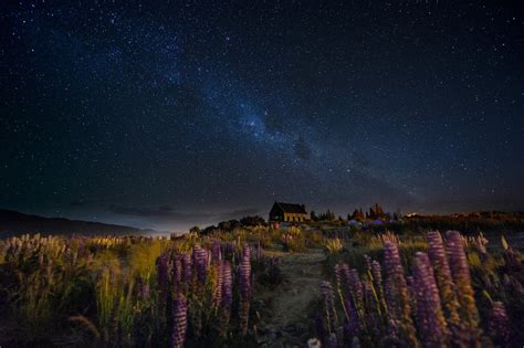 New Zealand Night Sky Milky Way Hill House Trail Flower