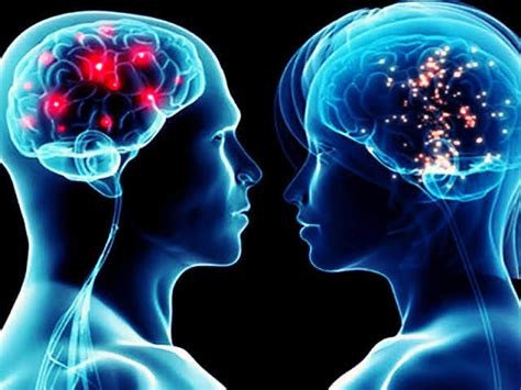 Neuroclas Diferencias Entre Cerebro Masculino Y Femenino