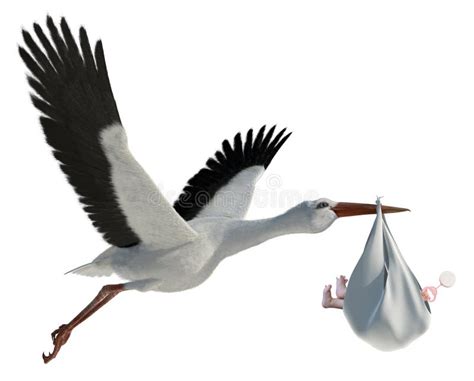 Stork And Baby Stock Illustration Illustration Of Stork 14395514