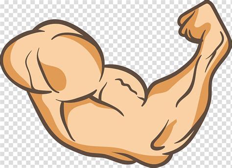 Flexing Arm Muscles Sticker Arms Thumb Muscle A Powerful Arm Transparent Background PNG