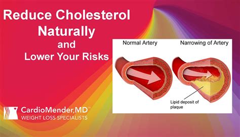 Reduce Cholesterol Naturally using Plant Sterols and Stanols
