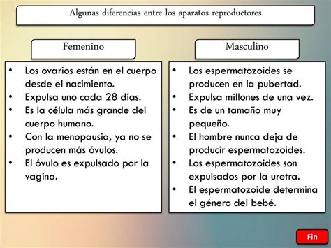 Semejanzas Y Diferencias Del Aparato Reproductor Masculino Y Femenino