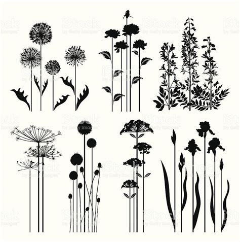 Silhouettes Of Variable Spring Plants Spring Plants Vector Art