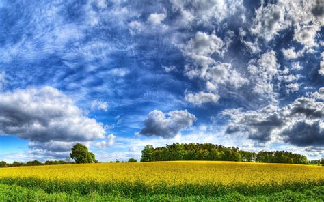 Clouds Landscapes Grass Fields Hdr Photography Wallpapers Hd