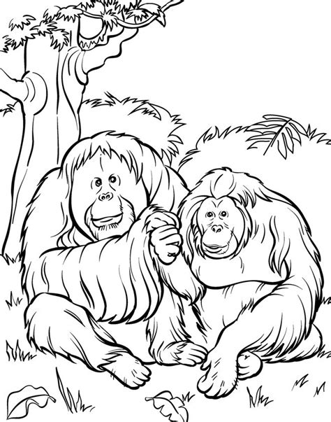 Zoo Coloring Pages Here Are The Best 19 Printable Coloring Pages Of