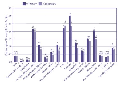 Share Of Ethnic Minority Students At Maintained Primary And Secondary