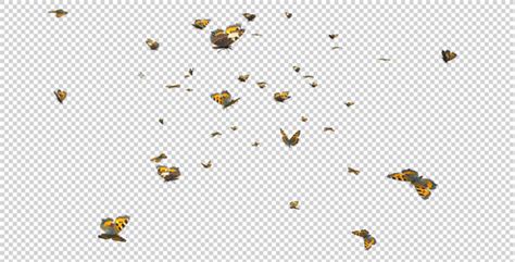 All from our global community of videographers and motion graphics designers. Butterfly Swarm - Eurasian Tortoiseshell by VideoMagus ...