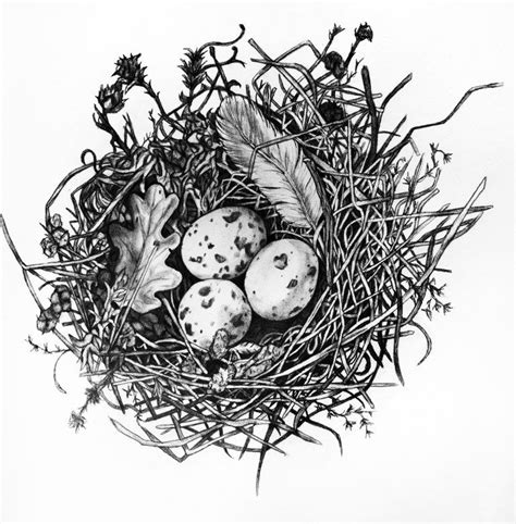 Birds Nest Acrylic Painting Artfully Creative Life Nest Art Bird
