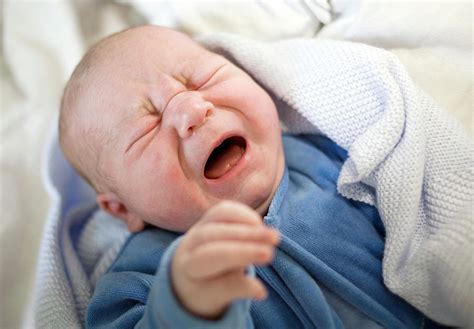 Newborn Baby Boy Crying Photograph By Samuel Ashfieldscience Photo Library
