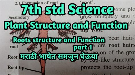 7th Standard 2 Plants Structure And Function General Science Part
