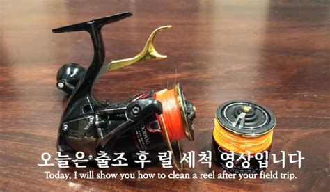 How To Clean A Fishing Reel After Saltwater Use Here Learn The Expert