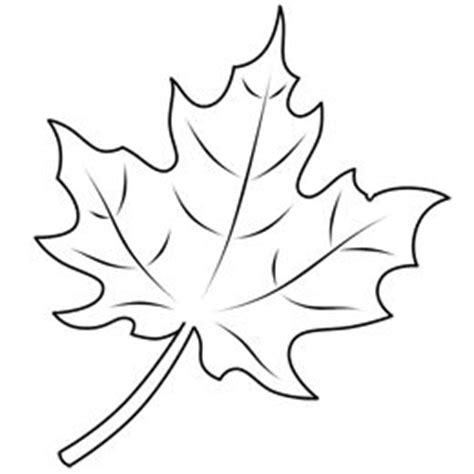 Tutorial of 60 degree drawing. Drawing A Leaf | Fall leaves drawing, Leaf drawing, Maple ...