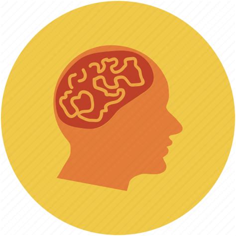 Brain Human Brain Human Mind Mind Icon