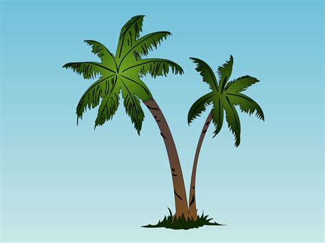 Palm Tree Drawing