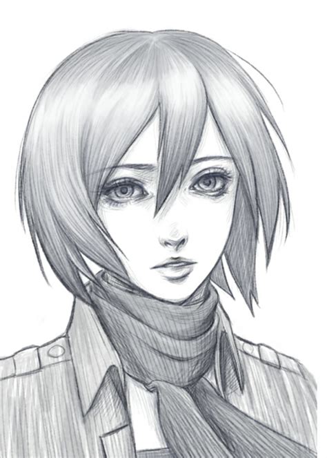 Mikasa Sketch At Paintingvalley Com Explore Collection Of Mikasa Sketch
