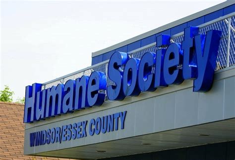 Humane Society Launches New Targeted Trap-Neuter-Return Program ...