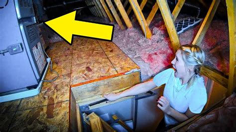 Couple Hears Strange Noises Coming From Their Attic The Culprit Leaves Them Shocked Youtube