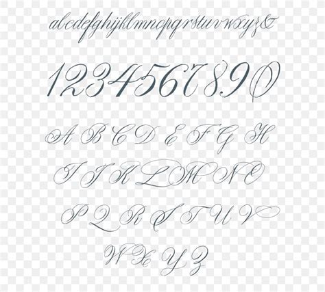 Font Italic Type Calligraphy Cursive Typeface Png 600x740px Italic
