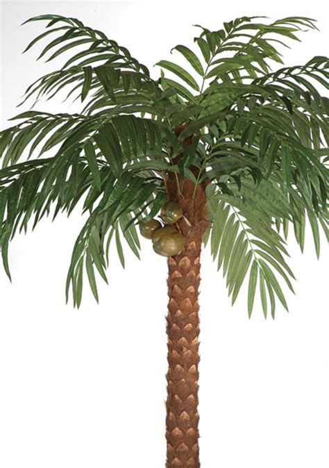 Stunning 15 Ft Artificial Palm Tree Hanging Plants With Lights