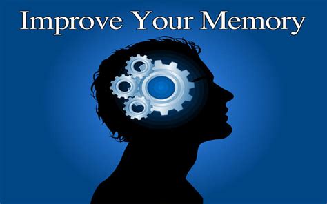 How To Improve Your Memory Future Today Network