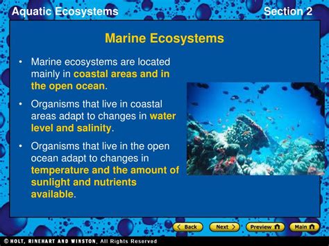 Ppt Marine Ecosystems Powerpoint Presentation Free Download Id6799998