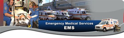 Ems varies in clinical sophistication, deployment strategies. Pinellas County, Florida - Safety & Emergency Services(EMS ...