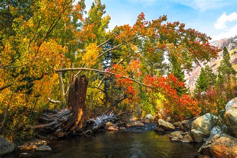 Sony A7rii Bishop California Fine Art Autumn Landscapes D Flickr