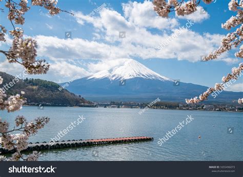 Mount Fuji Cherry Blossom Lake Kawaguchiko Stock Photo 1655496073