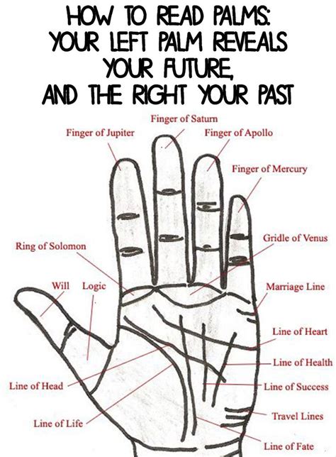 How To Read Palms Your Left Palm Reveals Your Future And The Right