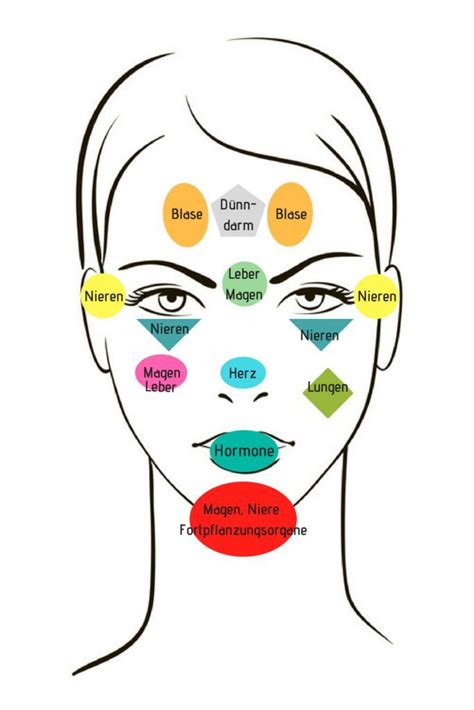 Akute und chronische bronchitis, asthma bronchiale, chronische infektneigung. In der obigen Grafik sind die Gesichtsbereiche in Zonen ...