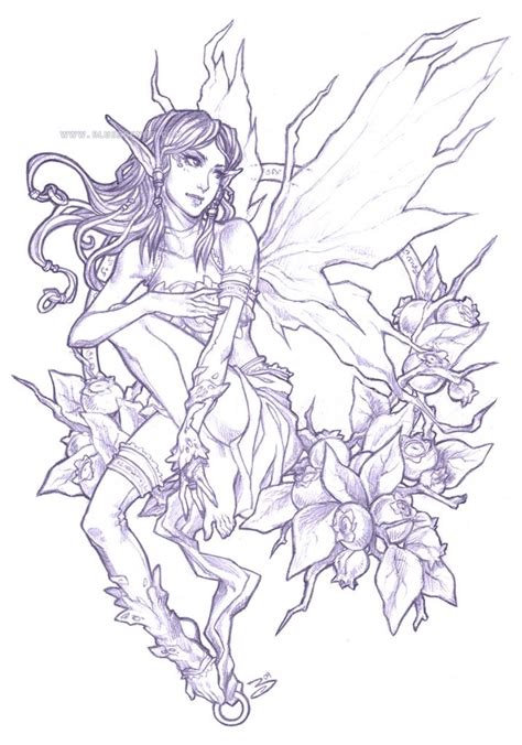 Best Fairy Sketches Draw For Beginner Sketch Art And Drawing Images