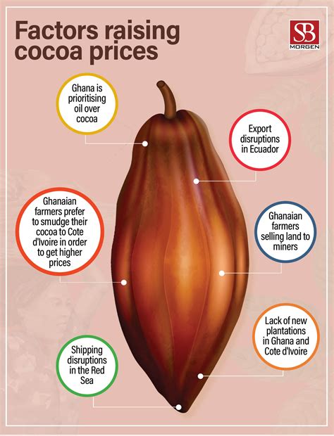 Chart of the week: Factors affecting the price of cocoa – Your Window