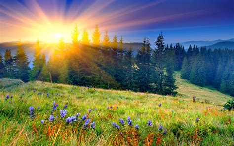 Sunrise Over Mountain Field Hd Wallpaper Background Image 2880x1800