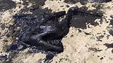Oil Spill