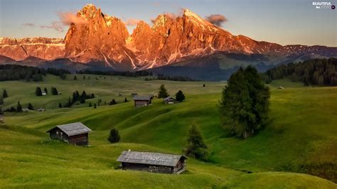 Wood Illuminated Trees Houses Seiser Alm Meadow Italy