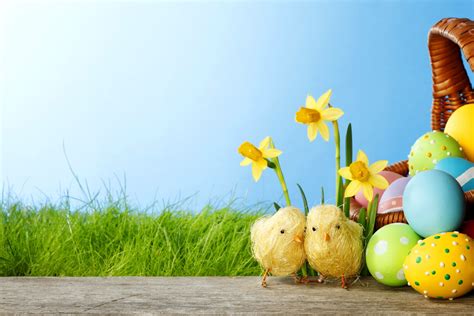 Easter 5k Retina Ultra Hd Wallpaper And Background Image 5380x3586