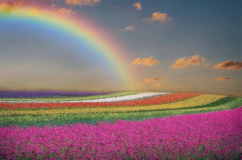 Spring Landscape Flowers Rainbow Sky Clouds Colorful Pikist